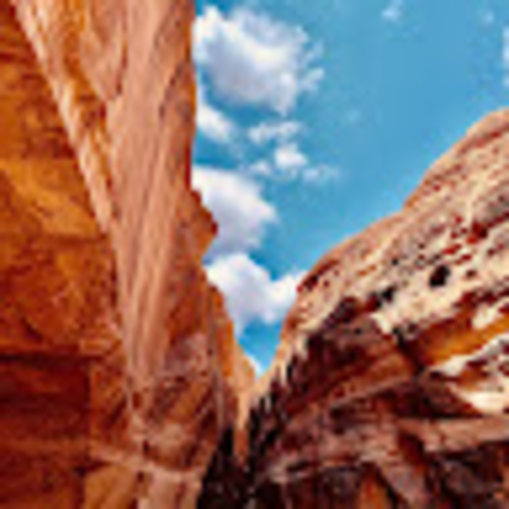 Meet your Posher, Rachel